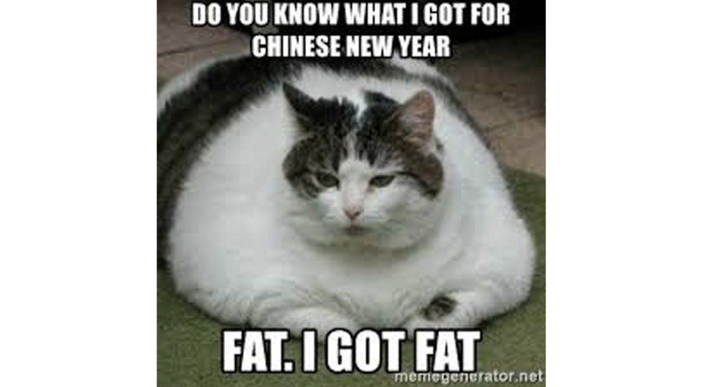 Chinese New Year Memes New weight gain memegenerator.net