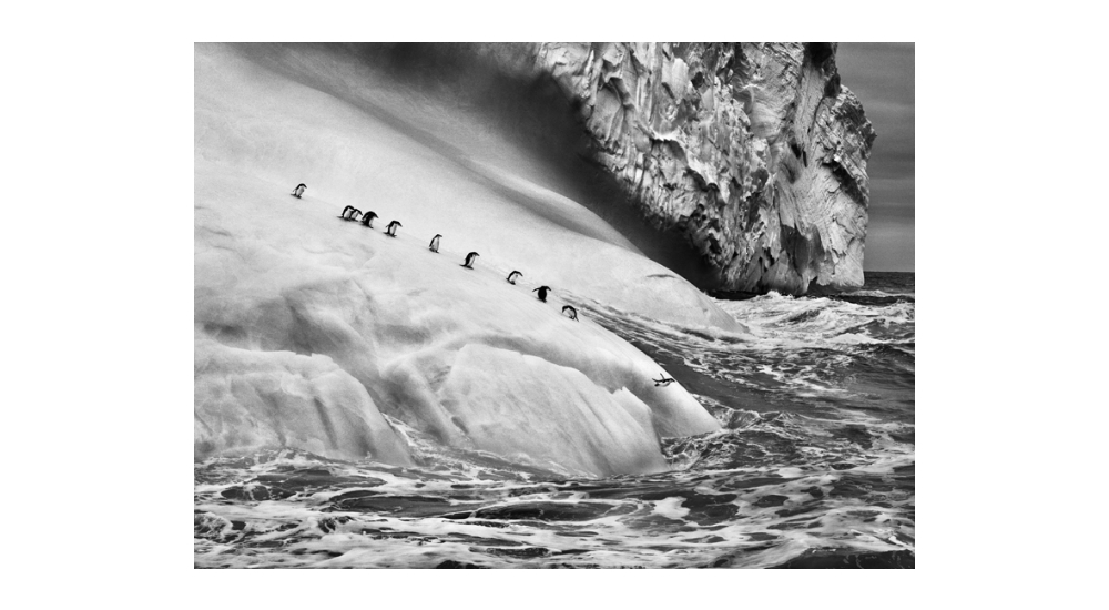 Sebastião Salgado