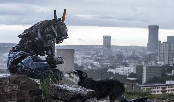Movies to watch in March