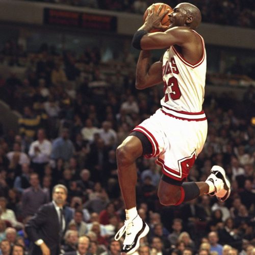 Air Jordan 11 Concord: to Know About the Iconic Sneaker